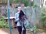 Щенок