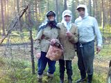 В лесу